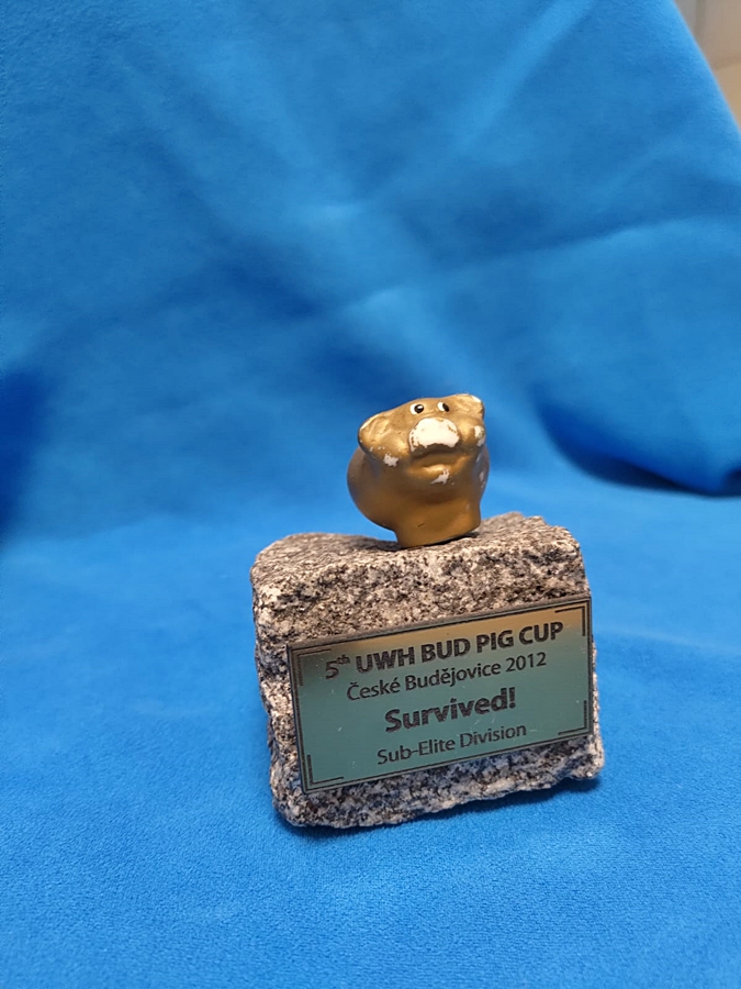 Hokej pod wodą Walenie UWH Siemianowice Śląskie